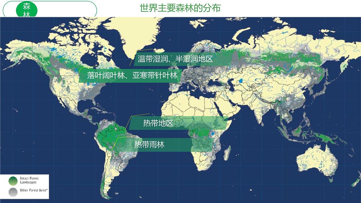人教版高中地理必修 第一册 5-1《植被》课件第8页