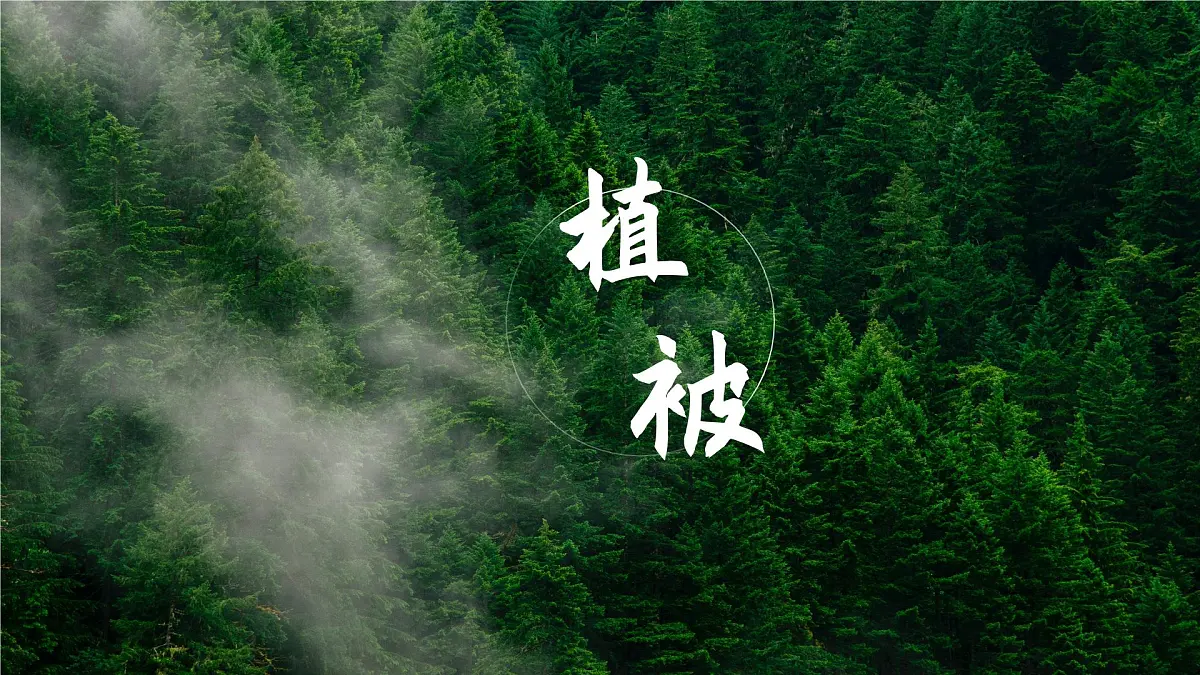 人教版高中地理必修 第一册 5-1《植被》课件第1页