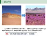 人教版高中地理必修 第一册 5-1《植被》课件