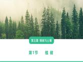 人教版高中地理必修 第一册 5-1《植被》课件