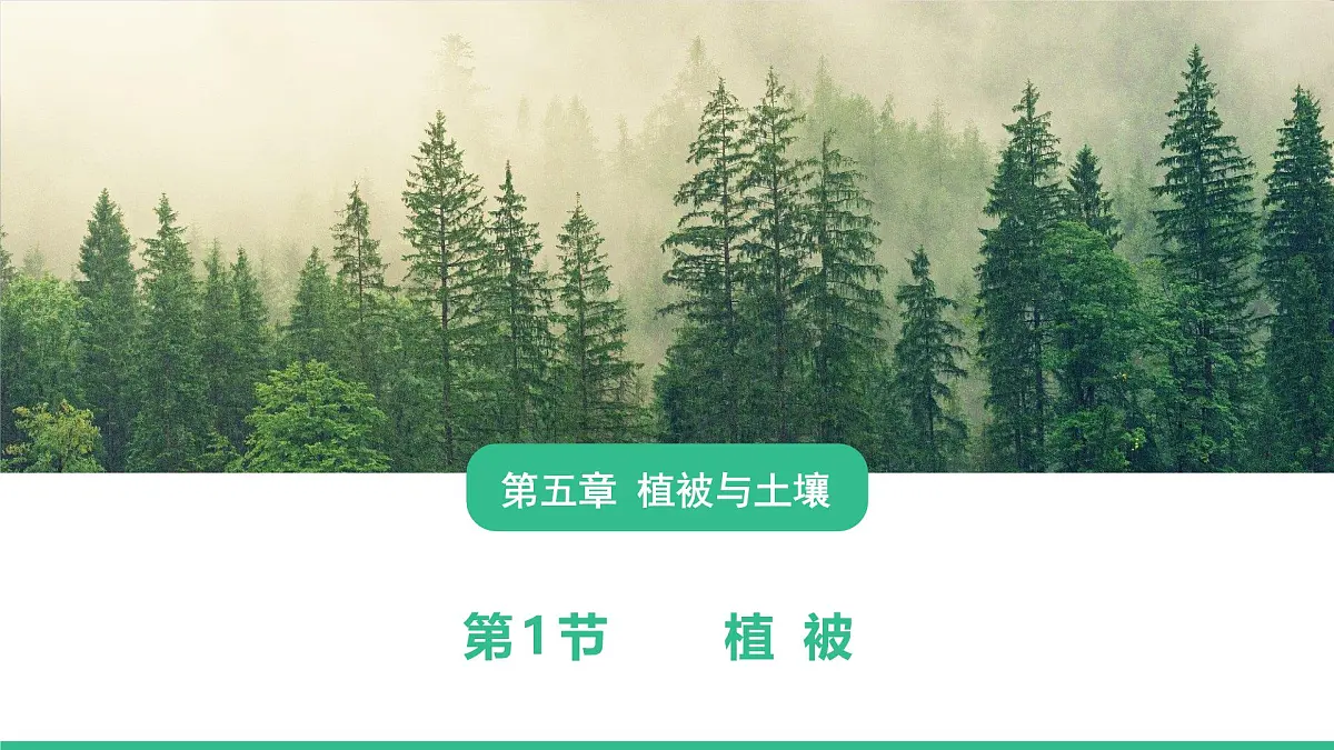 人教版高中地理必修 第一册 5-1《植被》课件第1页