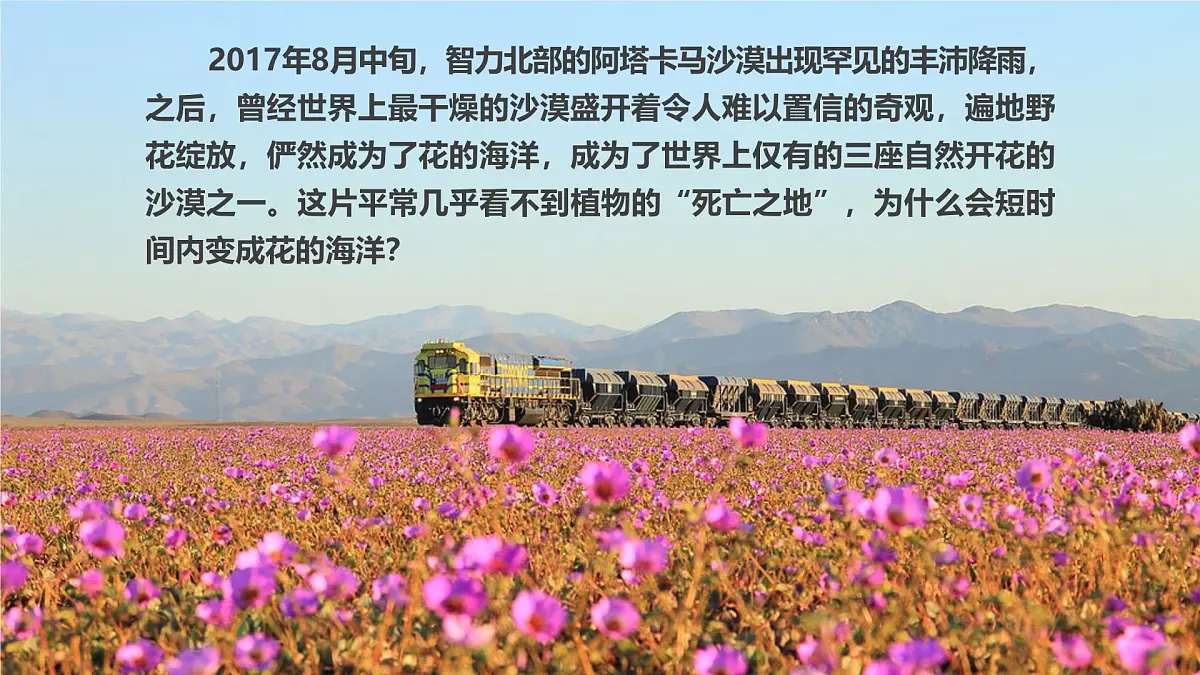 人教版高中地理必修 第一册 5-1《植被》课件第3页