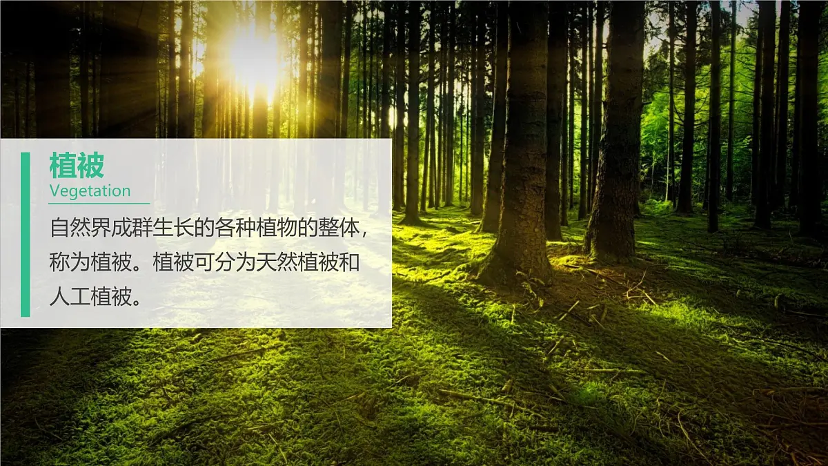 人教版高中地理必修 第一册 5-1《植被》课件第5页