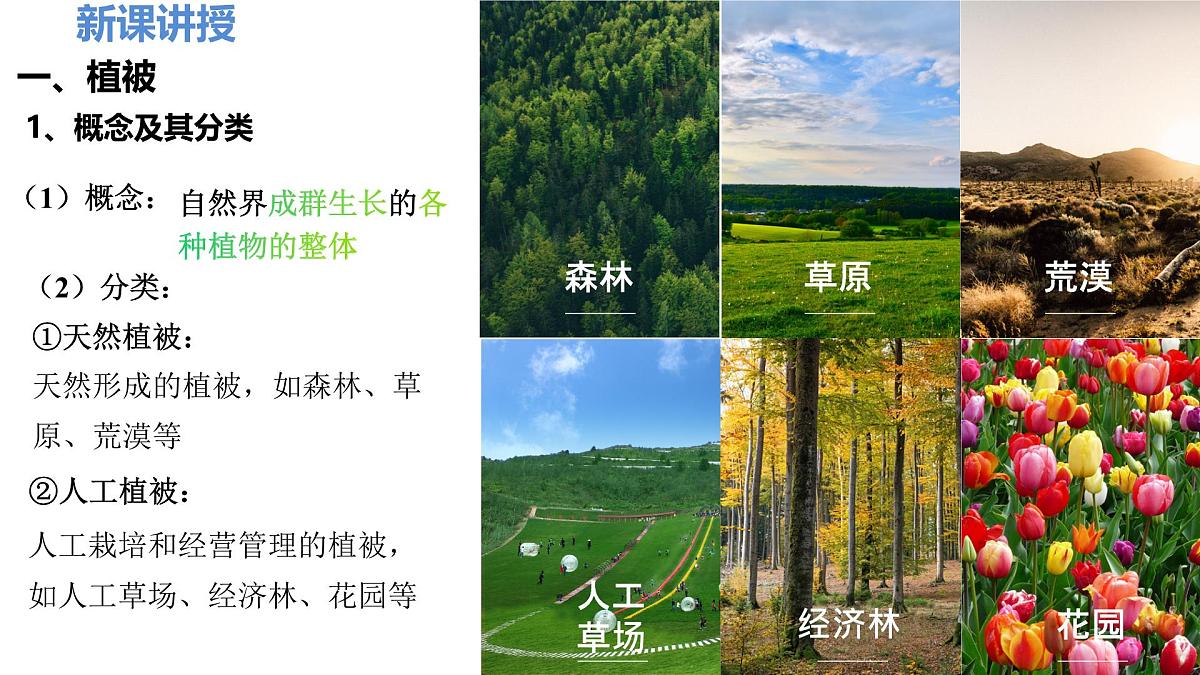人教版高中地理必修 第一册 5-1《植被》课件（第1课时）第3页