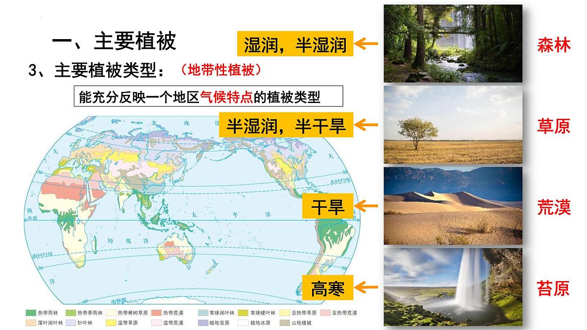 人教版高中地理必修 第一册 5-1《植被》课件第3页
