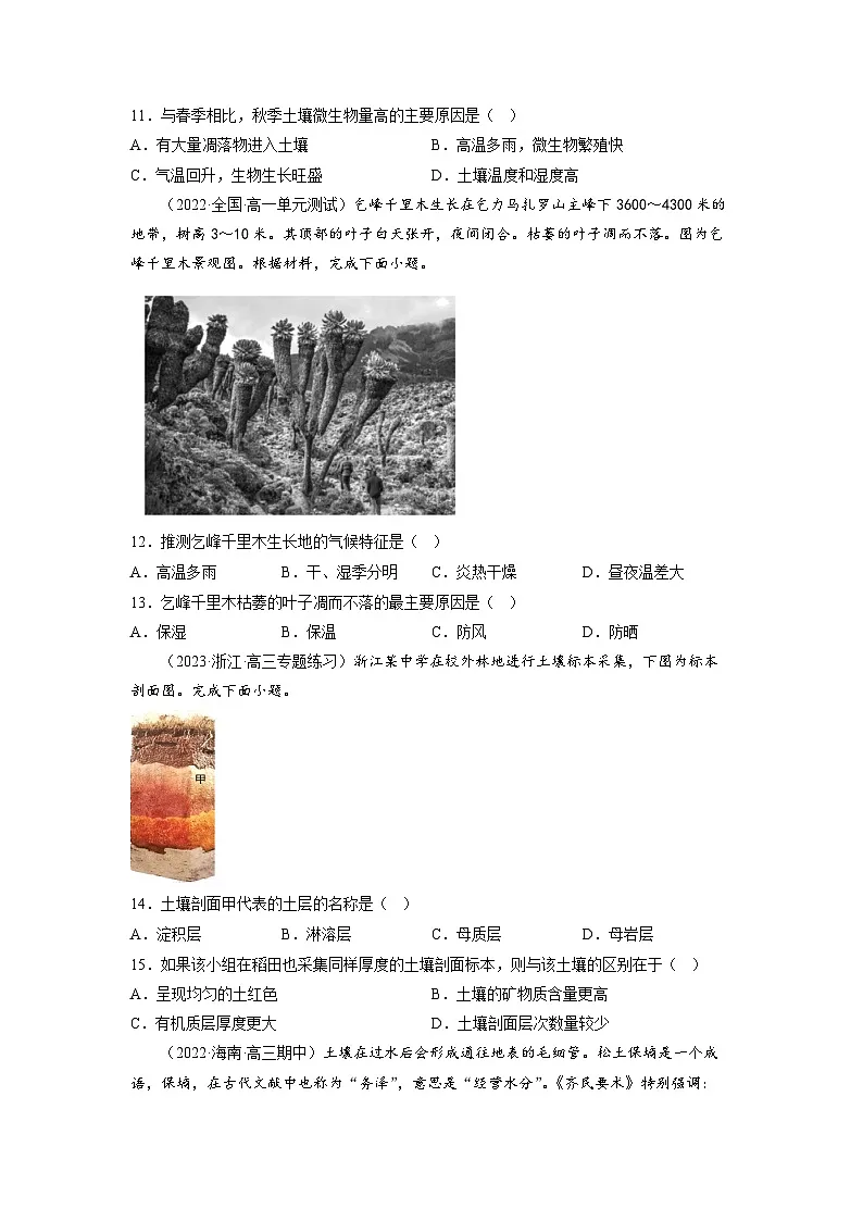 人教版高中地理必修 第一册 5-2《植被与土壤》提升卷（原卷版）第3页