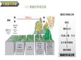 人教版高中地理必修 第一册 5-1《植被》课件