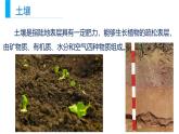 人教版高中地理必修 第一册 5-2《土壤》课件