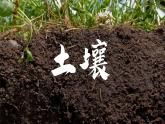 人教版高中地理必修 第一册 5-2《土壤-土壤的主要形成因素》课件