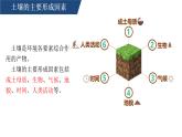 人教版高中地理必修 第一册 5-2《土壤-土壤的主要形成因素》课件