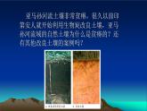 人教版高中地理必修 第一册 5-2《土壤》课件