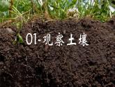 人教版高中地理必修 第一册 5-2《土壤-观察土壤》课件