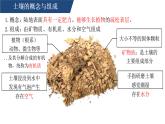 人教版高中地理必修 第一册 5-2《土壤-观察土壤》课件