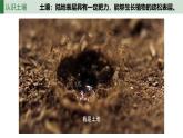 人教版高中地理必修 第一册 5-2《土壤》课件