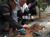 人教版高中地理必修 第一册 5-2《土壤》课件