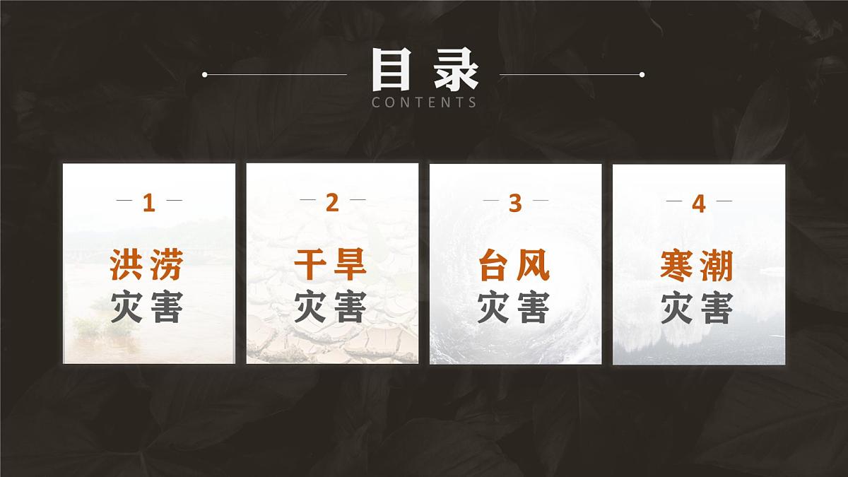 人教版高中地理必修 第一册 6-1《气象灾害》课件第3页