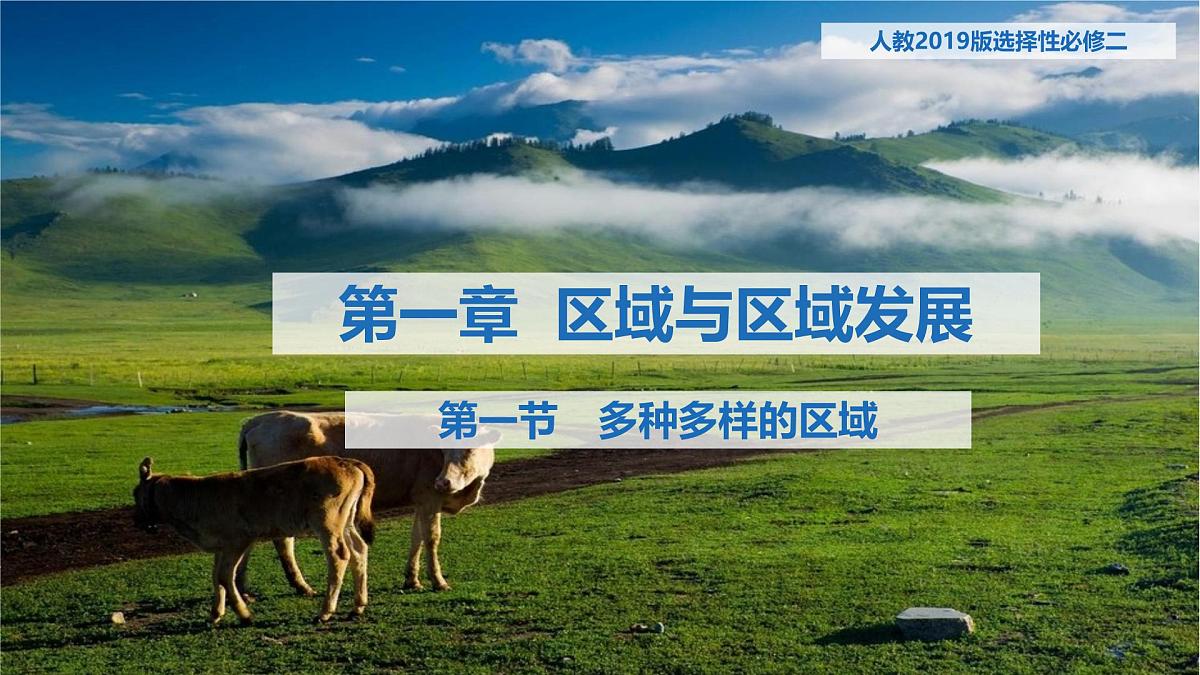 人教版高中地理选择性必修2 1-1《多种多样的区域》（第2课时）课件第1页