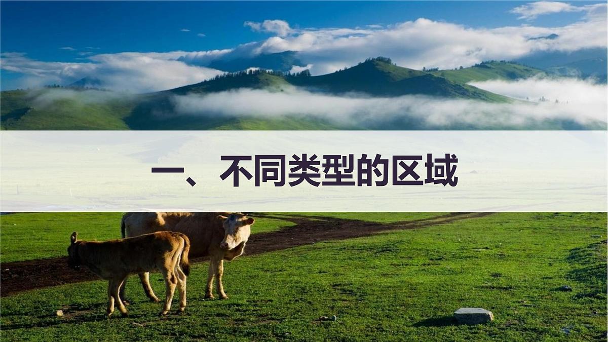 人教版高中地理选择性必修2 1-1《多种多样的区域》（第2课时）课件第4页