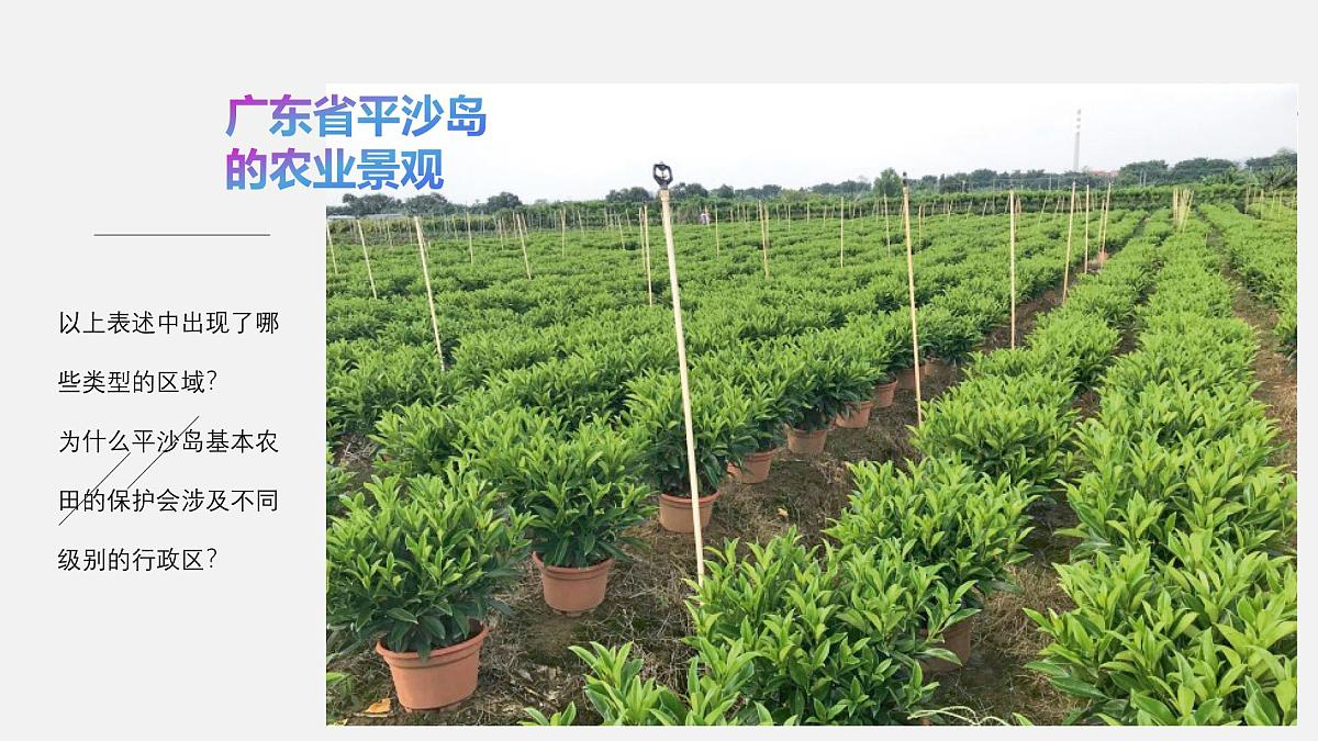 人教版高中地理选择性必修2 1-1课件《多种多样的区域》第2页