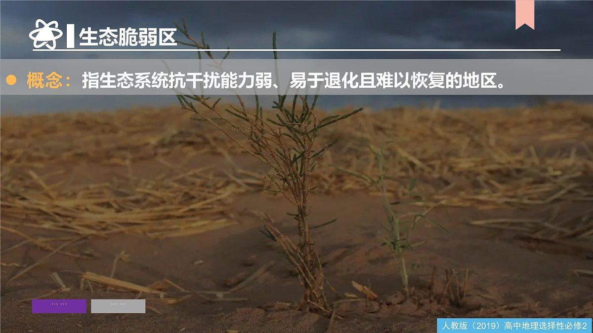 人教版高中地理选择性必修2  2-2生态脆弱区的综合治理（课件）第8页