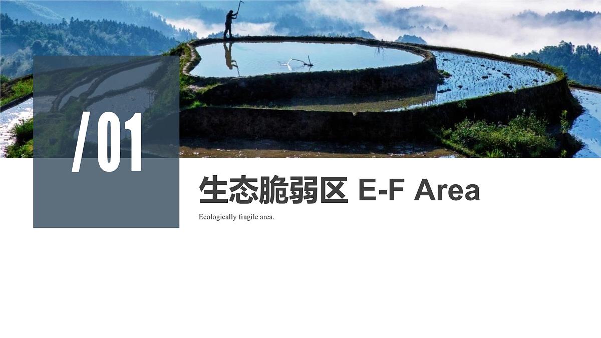 人教版高中地理选择性必修2  2-2《生态脆弱区的综合治理》课件第5页