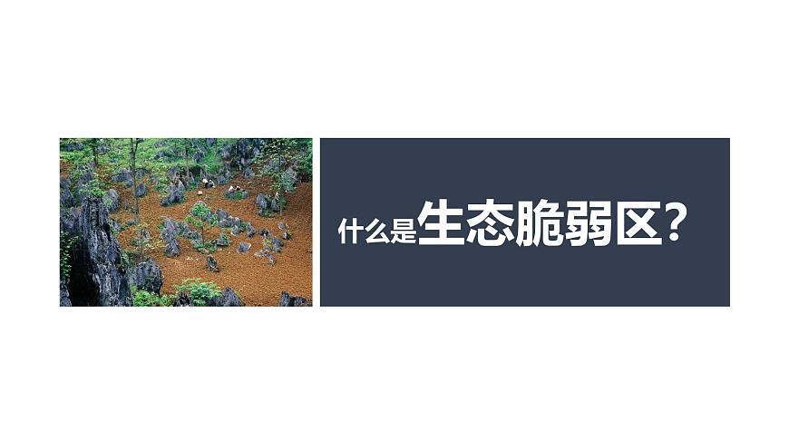 人教版高中地理选择性必修2  2-2《生态脆弱区的综合治理》课件第6页