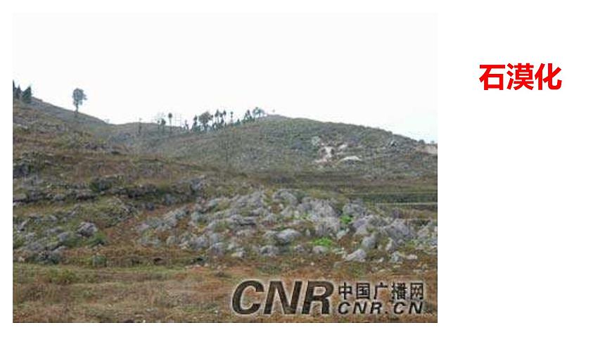 人教版高中地理选择性必修2  2-2《生态脆弱区的综合治理》课件第7页