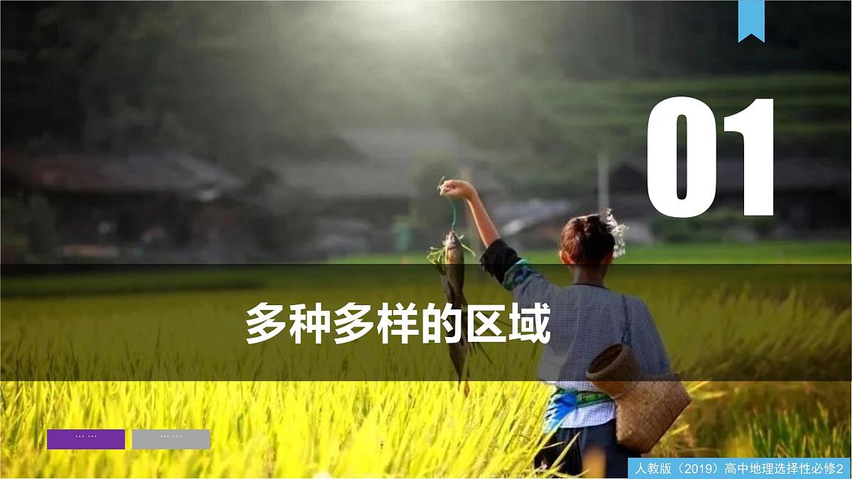 人教版高中地理选择性必修2  第一章区域与区域发展（单元复习课件）第4页