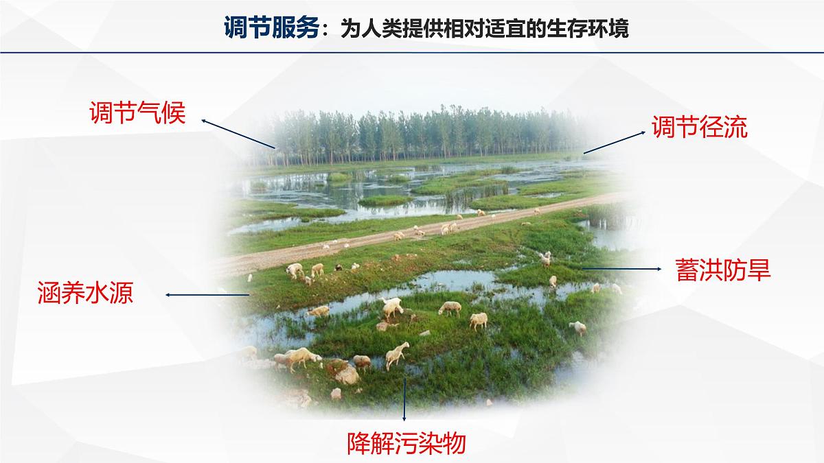 人教版高中地理选择性必修3 1-1《自然环境的服务功能》课件第7页