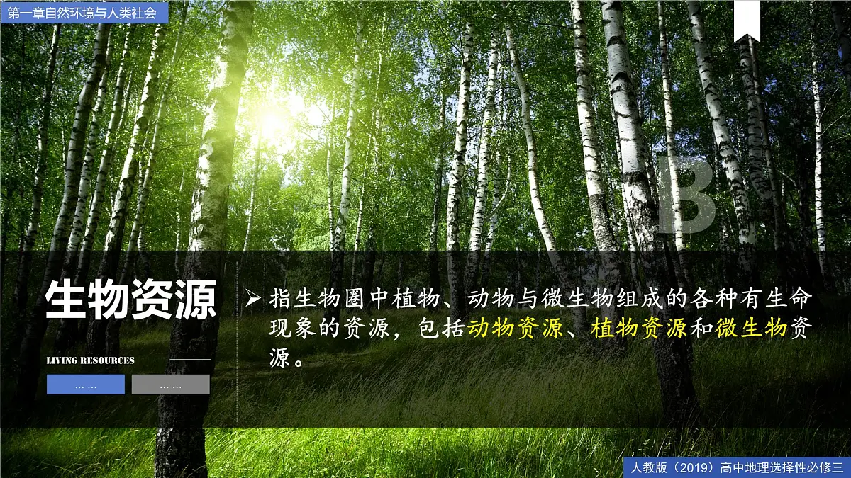 人教版高中地理选择性必修3 1-2《自然资源及其利用》课件第8页