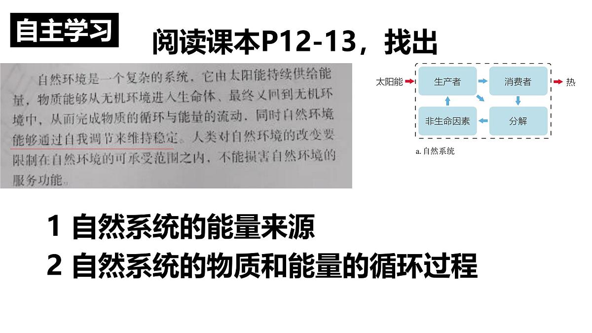 人教版高中地理选择性必修3 1-2《环境问题及其危害》课件第5页