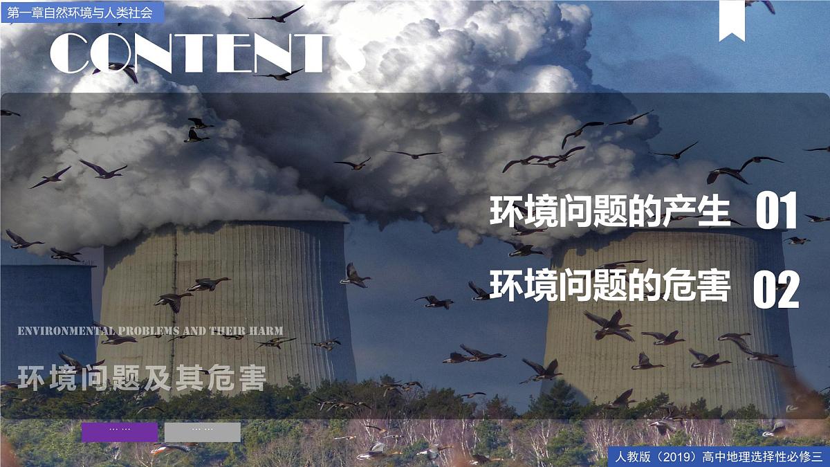 人教版高中地理选择性必修3 1-2《环境问题及其危害》课件第3页