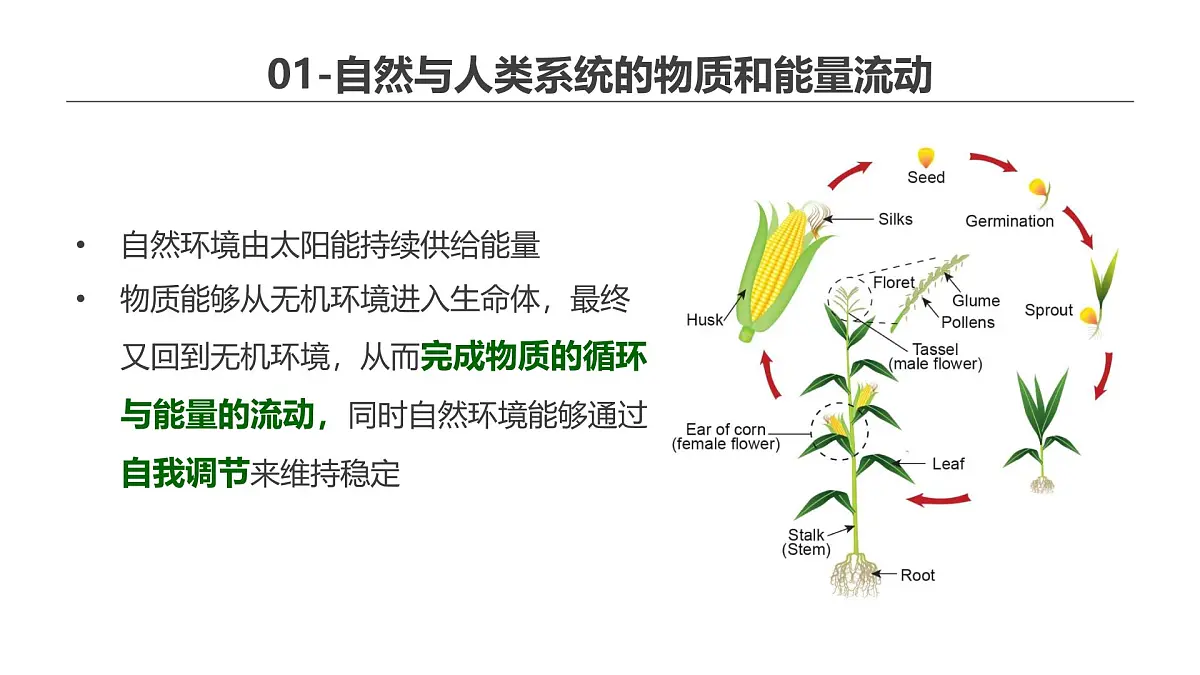 人教版高中地理选择性必修3 1-2《环境问题及其危害》课件第8页