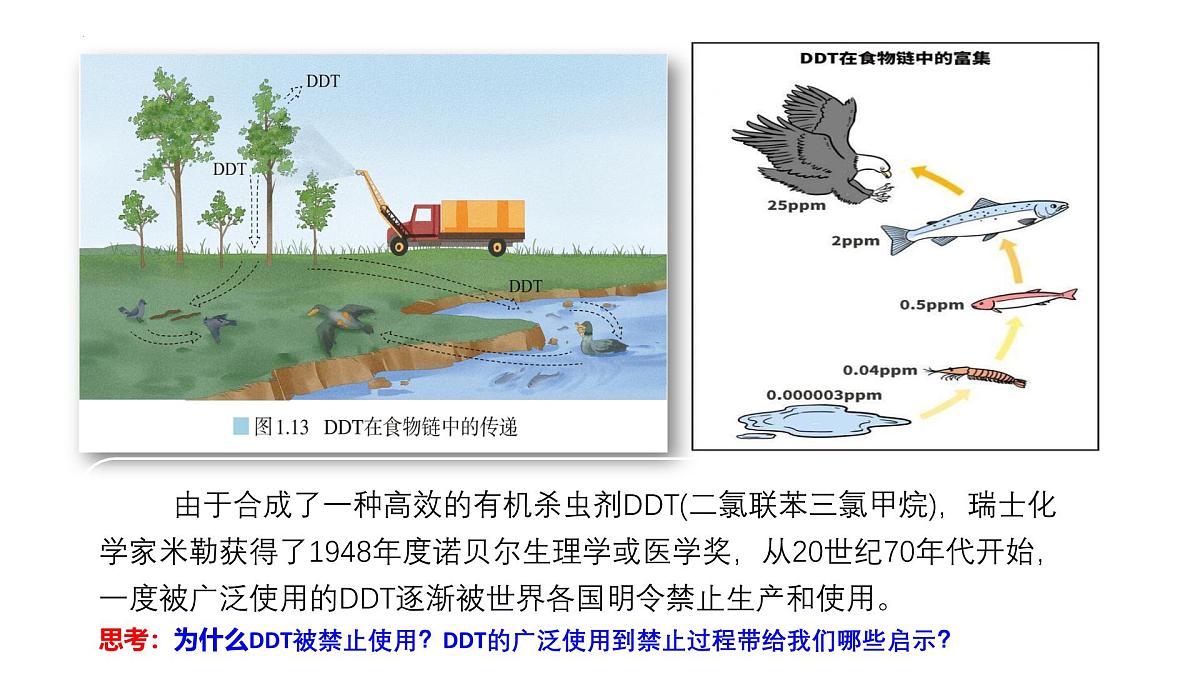 人教版高中地理选择性必修3 1-2环境问题及其危害教学课件第3页