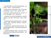 人教版高中地理選擇性必修3 第一章復(fù)習(xí)課件-自然環(huán)境與人類(lèi)社會(huì)