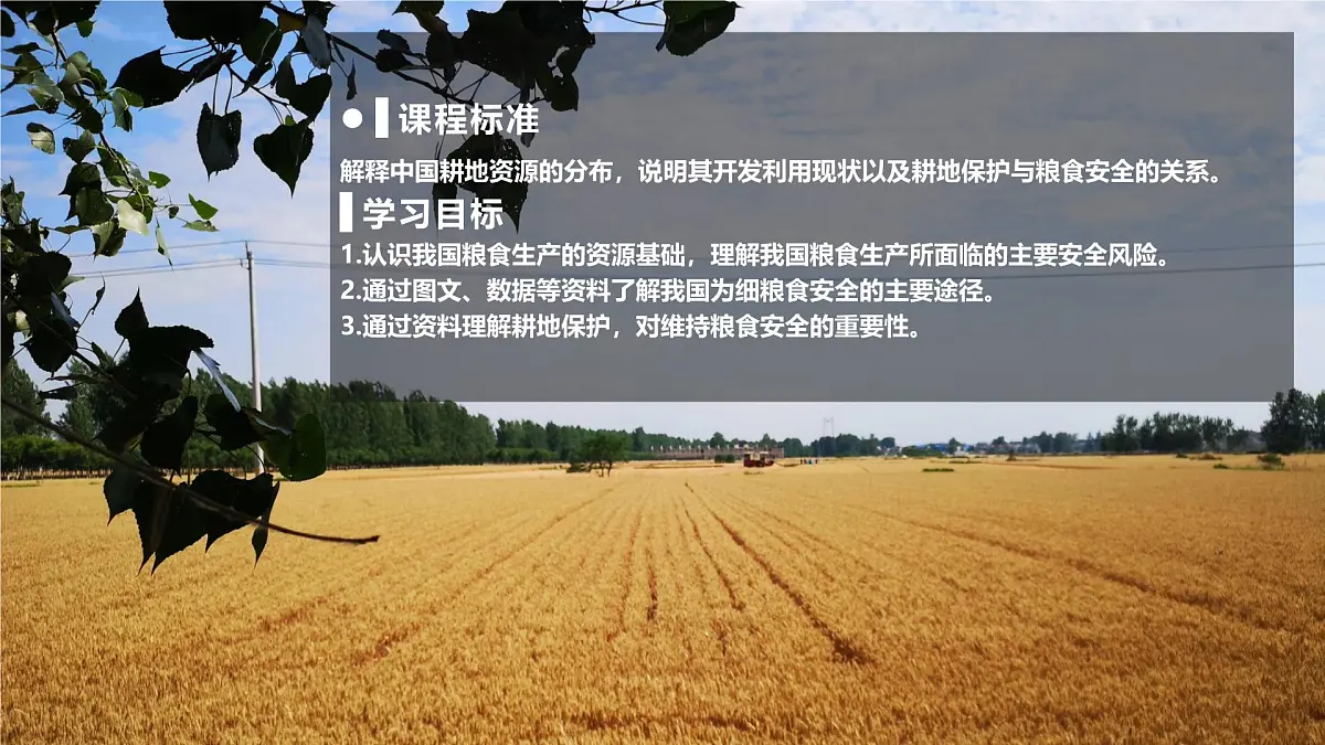 人教版高中地理选择性必修3 2-1中国的耕地资源与粮食安全教学课件第2页