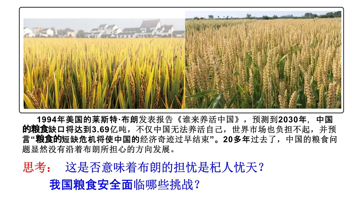 人教版高中地理选择性必修3 2-1中国的耕地资源与粮食安全教学课件第3页