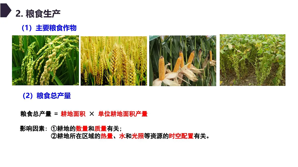人教版高中地理选择性必修3 2-1中国的耕地资源与粮食安全教学课件第7页