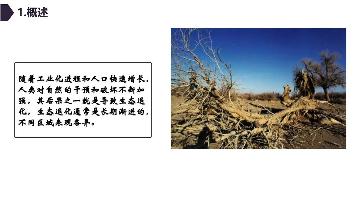 人教版高中地理 选择性必修3 3-3《生态保护与国家安全》课件第5页