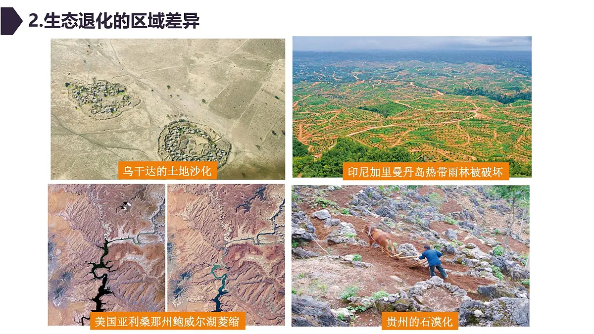 人教版高中地理 选择性必修3 3-3《生态保护与国家安全》课件第6页