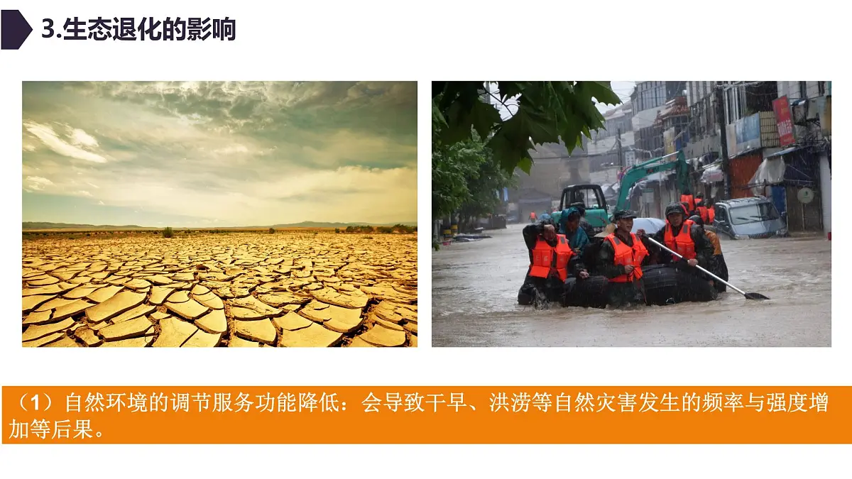 人教版高中地理 选择性必修3 3-3《生态保护与国家安全》课件第7页