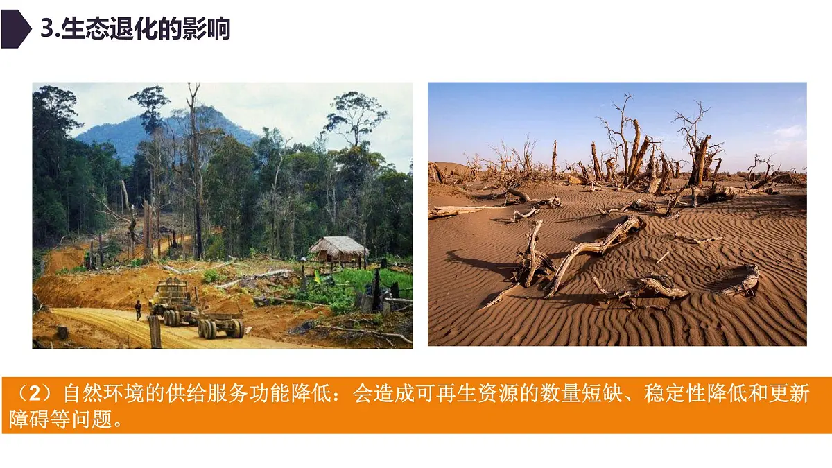 人教版高中地理 选择性必修3 3-3《生态保护与国家安全》课件第8页