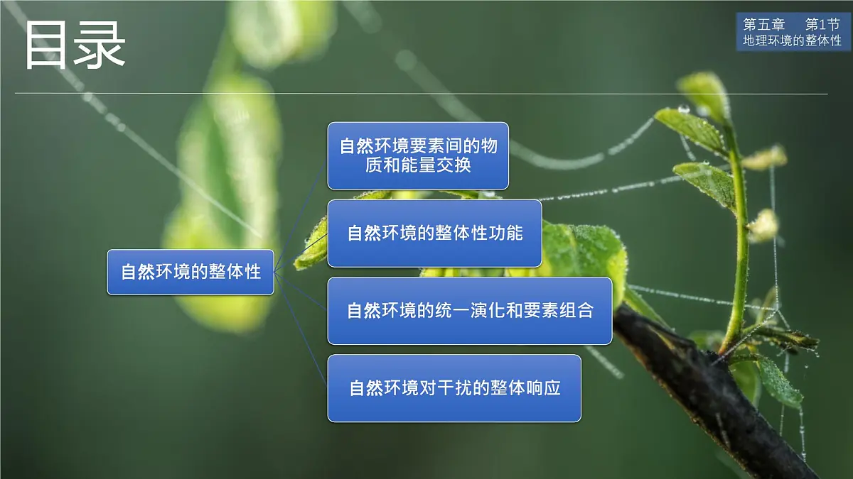 人教版高中地理 选择性必修1 5-1《自然环境的整体性》 课件第2页