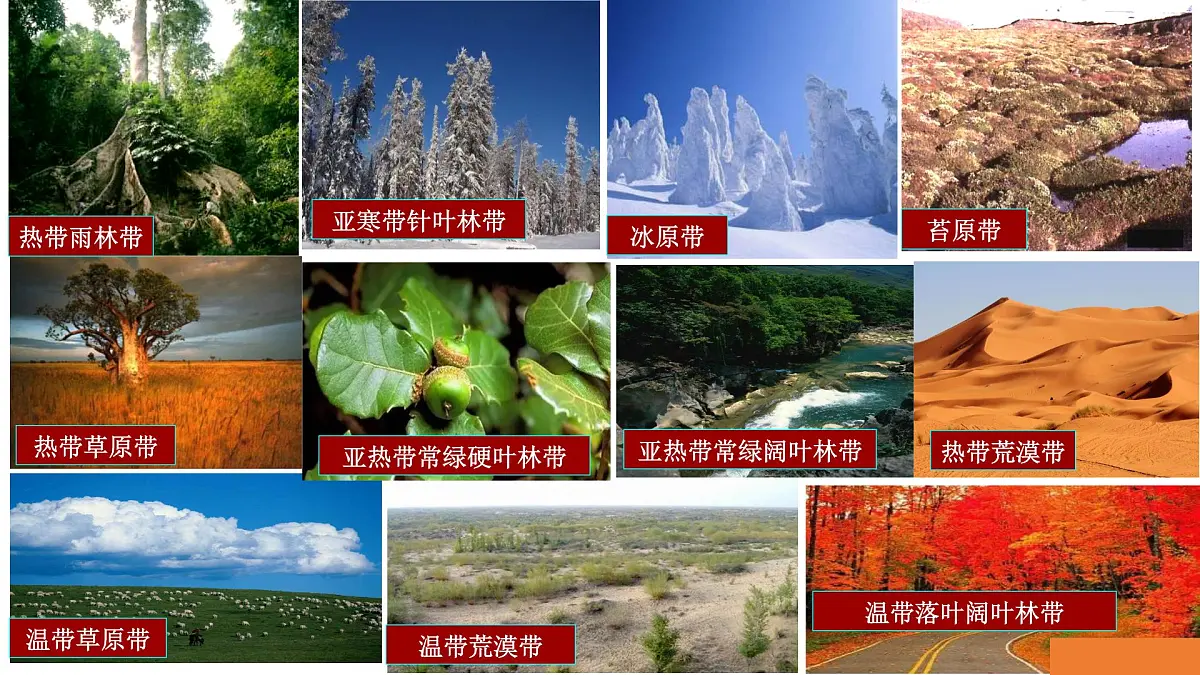 人教版高中地理 选择性必修1 5-2自然环境的地域差异性-课件第8页