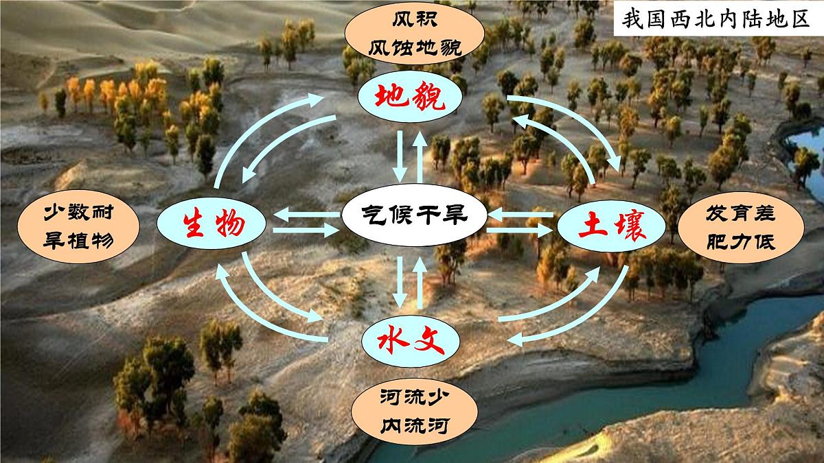 人教版高中地理 选择性必修1 5-1《自然环境的整体性》课件第6页
