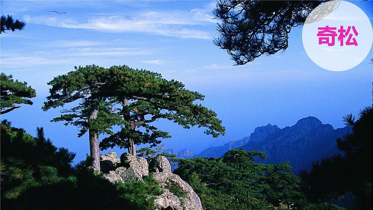 人教版高中地理 选择性必修1 5-1《自然环境的整体性》课件第8页
