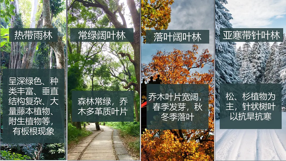 人教版高中地理 选择性必修1 5-2自然环境的地域差异性 教学课件第3页