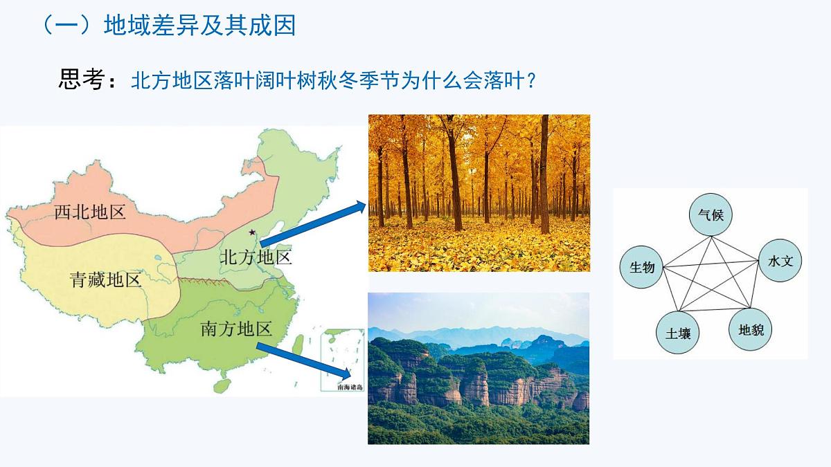 人教版高中地理 选择性必修1 5-2《自然环境的地域差异性性》课件第3页