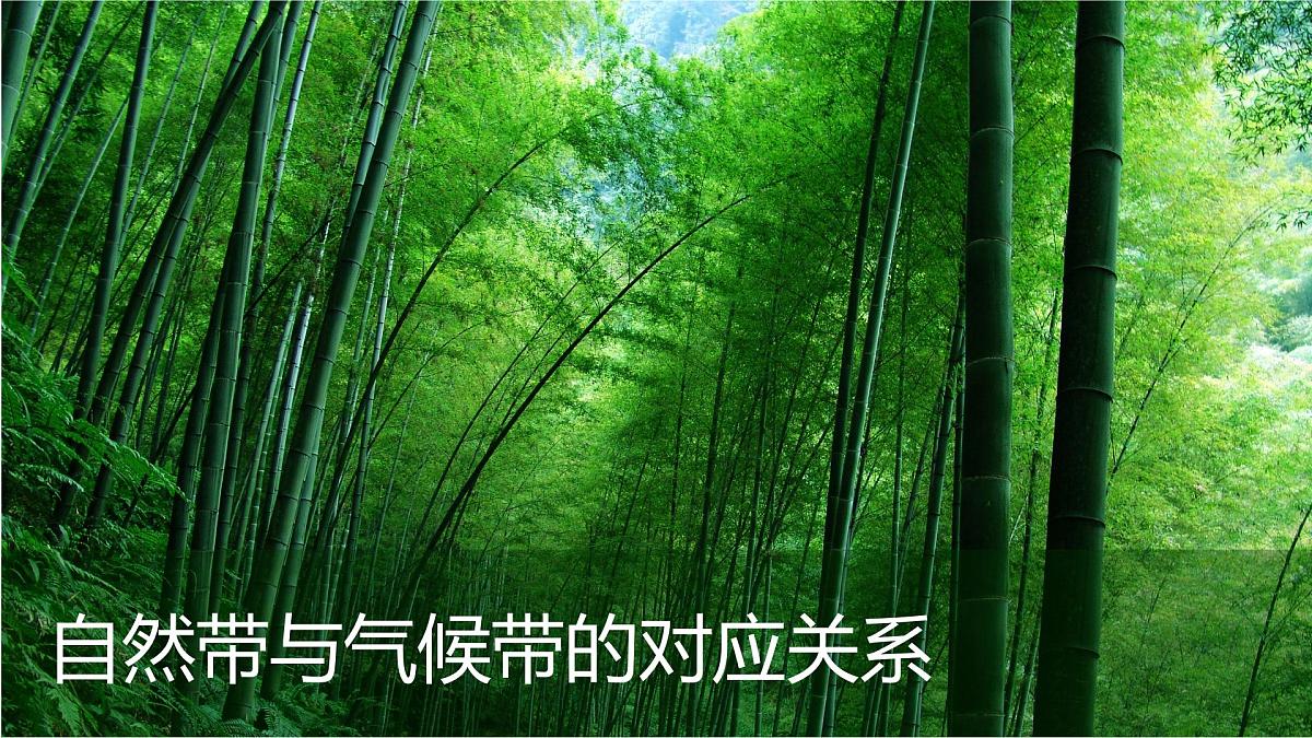 人教版高中地理选择性必修1 5-2《自然环境的地域差异性》课件第3页