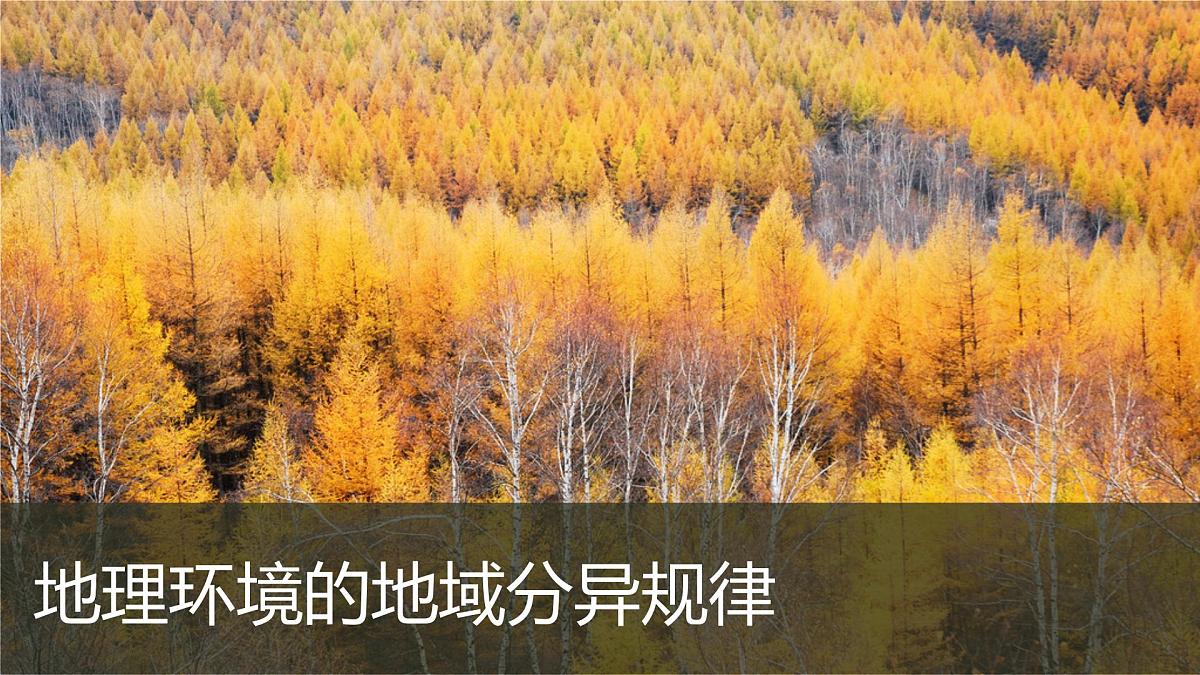 人教版高中地理选择性必修1 5-2《自然环境的地域差异性》课件第7页